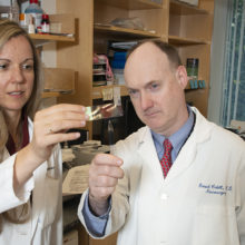 Searching for new therapies, Priscilla Brastianos, MD, and Daniel Cahill, MD, PhD, analyze their patients’ tissue samples to find targets to treat cancers that have spread to the brain for the Brain Metastasis Program.