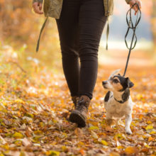 Taking a 30-minute daily walk is a good way to stay active.