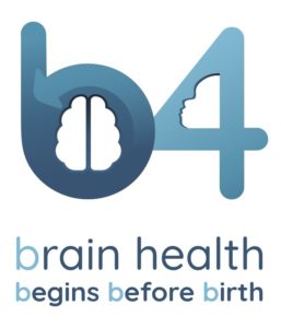 prenatal brain 