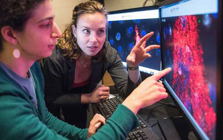 At the Ragon Institute, Abigail Schiff (left) and Elizabeth Byrne, both MD-PhD candidates, discuss a lab image of macrophage cultures infected with HIV. Macrophages are immune cells that specialize in detecting and destroying foreign invaders in the body.