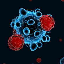 An illustration shows engineered T cells attacking cancer cells.