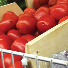 healthy eating in Chelsea Mass