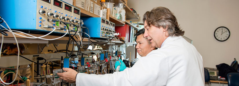 Pursuing New Cancer Treatments From Basics to Breakthroughs