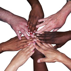 Diversity-Inset