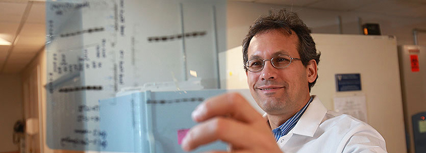 Immunotherapy Effort Advances on Multiple Fronts