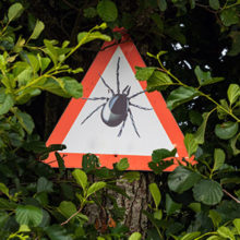 New ways to diagnose Lyme disease are coming into focus.