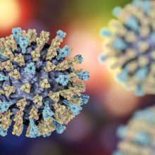 The measles virus