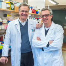 Pictured at the Ragon Institute are, from the left, Bruce D. Walker, MD, its director, and Facundo Batista, PhD, its associate director and chief scientific officer.