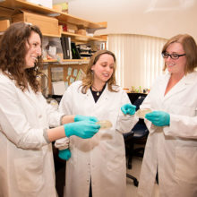 Christina Faherty, PhD, and her Mass General research team are developing new strategies for treating Shigella. Pictured are, from left, are Rachael B. Chanin, formerly a Mass General technician; Dr. Faherty; and Kourtney P. Nickerson, PhD, a postdoctoral fellow.