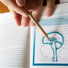 Textbook with a diagram of a brain