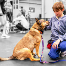 Holden Czahor built a unique bond with Allie, the German Shepherd mix he was paired with for the Doggonit program.
