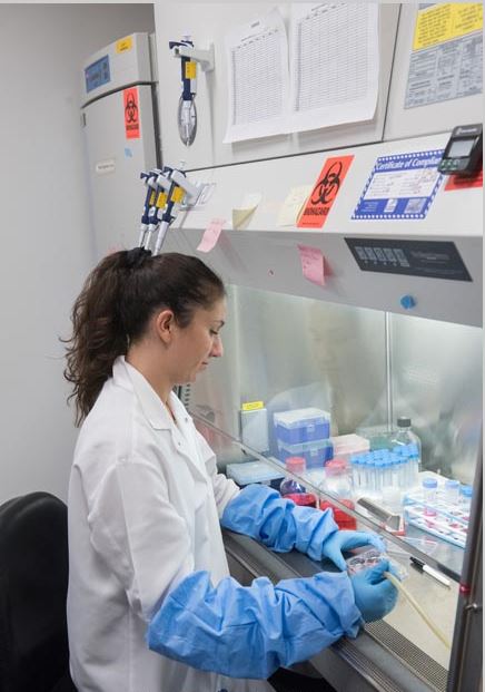 Research technician Kara Lopez-Lengowski delivers nutrients to neurons generated in the laboratory from patient stem cells.