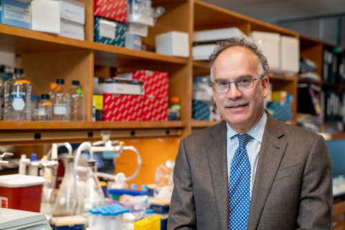 Daniel Haber, MD, PhD, director of the Mass General Cancer Center, is a pioneer in the field of liquid biopsy technology. 