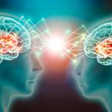 Increasing evidence suggests that empathy is hardwired into the brain.