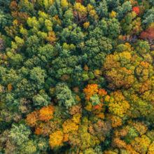 With summer days behind us, the return to work or school or even just fewer hours of daylight can leave people feeling more anxious as autumn arrives.