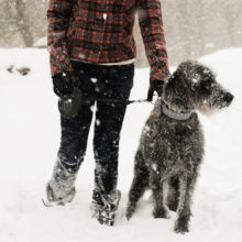 Settling for a brisk, 10-minute walk is OK when time for holiday exercise is tight.