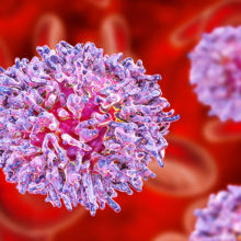 Leukemia occurs when healthy lymphoctyes change and grow out of control. Some of the most aggressive and drug-resistant forms of the disease are associated with mutations in a family of proteins known as IKAROS.