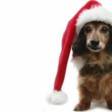 holiday stress