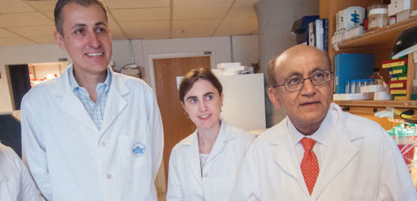 Pursuing New Cancer Treatments From Basics to Breakthroughs
