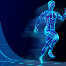 At Mass General’s Sports Medicine Center, specialists aim to integrate all aspects of the patient's lifestyle and athletic ambitions into their treatment plan.