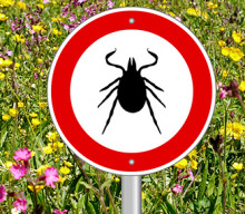 Tick Warning