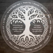 The Mass General Transplant Center's new Donor Memorial Tree took more than two years to design and install.